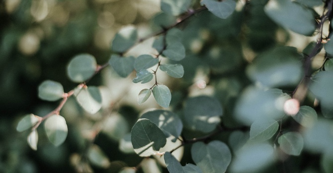 Understanding Back Pain: How Your Pelvis, Spine, and Shoulders Work Together